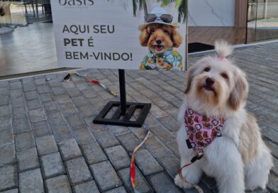 Alphaville (SP) terá o 1º condomínio residencial com piscina para pets